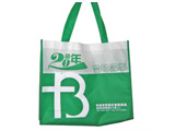 Non woven logo bag
